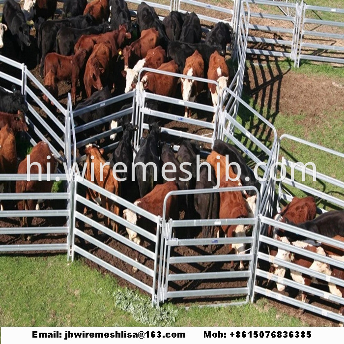 Galvanized Portable Horse Fence Panel